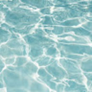 Meet your Posher, Allyson